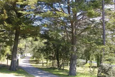 MARSU
