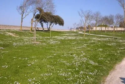 MARSU