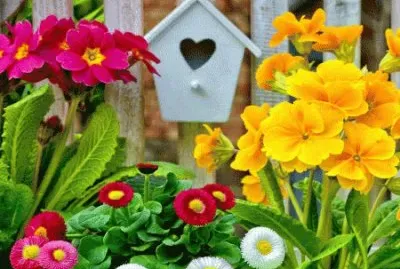 image jigsaw puzzle