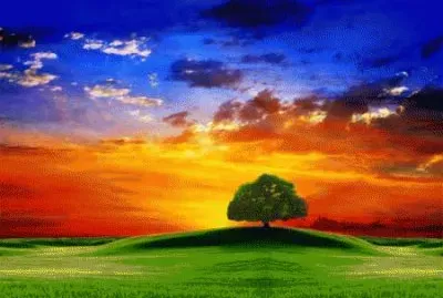 פאזל של Colorful Day