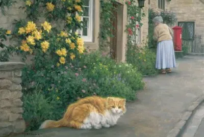 Gatos