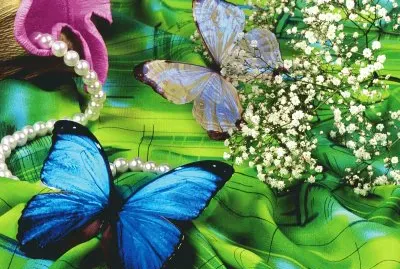 Butterfly and Pearls
