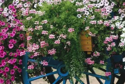 Colorful Flower Cart