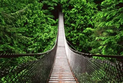 Puente jigsaw puzzle