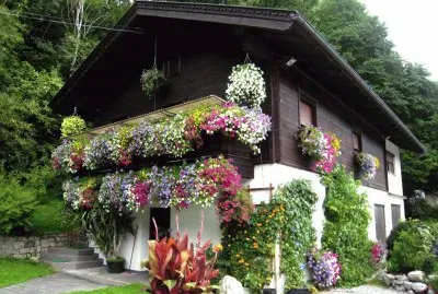 Austrian House