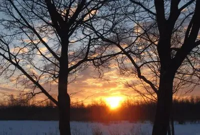 Between two trees   Feb 27 2014