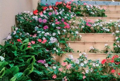 Jardim  em Degraus