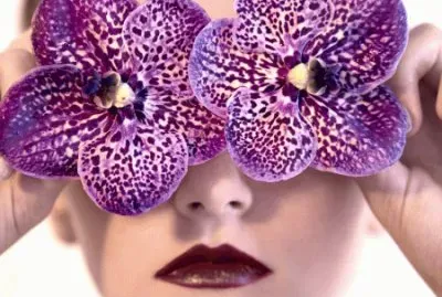 Purple Orchids jigsaw puzzle