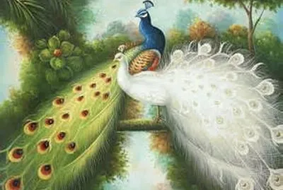 å­”é›€ jigsaw puzzle