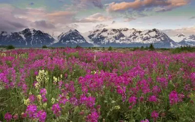 Rocky Mountains  Canada