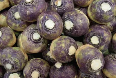 פאזל של rutabaga