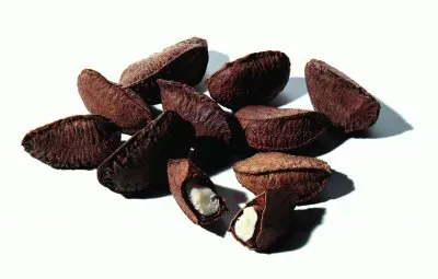 פאזל של noix du brÃ©sil