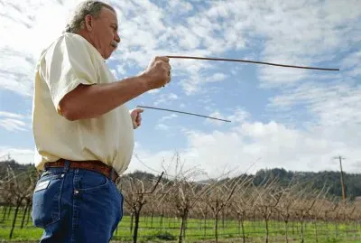 California Dowser Searches for Water