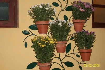 Morettinha flores chacrete