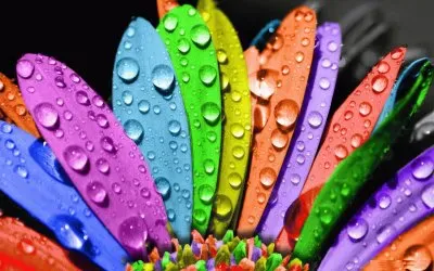 Colorful Design