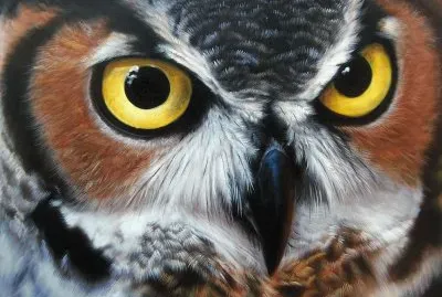 Oil painted Owl