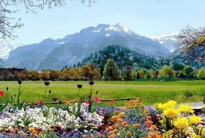 פאזל של imagem