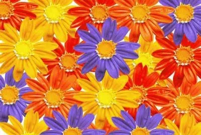 Spring jigsaw puzzle