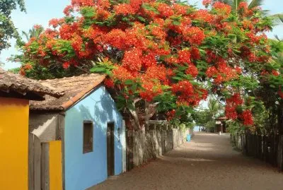 CaraÃ­va - Bahia.jpg