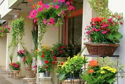 פאזל של FloristerÃ­a en BretaÃ±a (Francia)