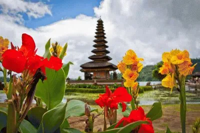 no JapÃ£o jigsaw puzzle