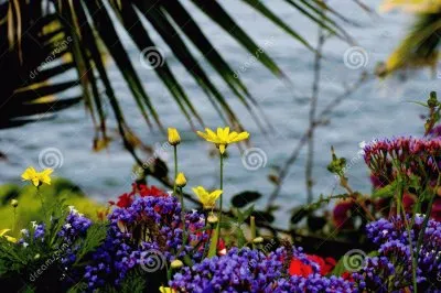 flores e mar jigsaw puzzle