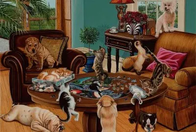 animais