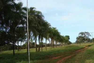natureza