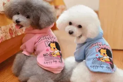 Poodles jigsaw puzzle