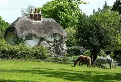 cottage5 jigsaw puzzle