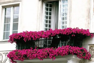 BalcÃ³n en Varsovia