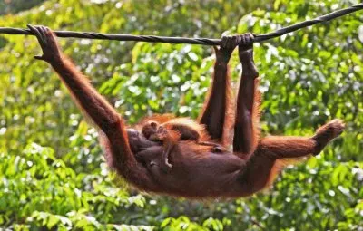 mom #137 jigsaw puzzle