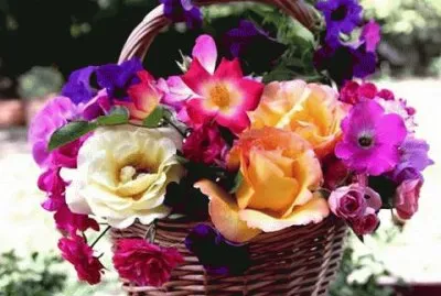 פאזל של 8 marzo