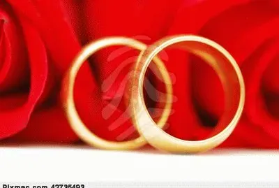 two-gold-wedding-rings-and-red-roses-pixmac-photo-