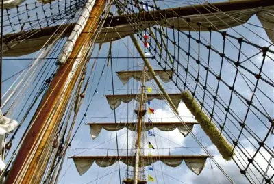 Velamen plegado jigsaw puzzle