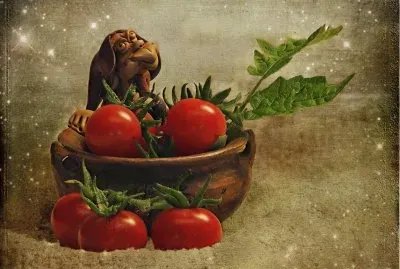 fotos macros jigsaw puzzle