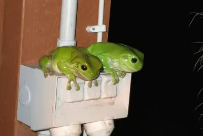 Power Protectors jigsaw puzzle