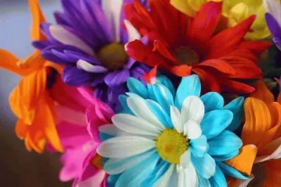 Colorful Bouquet