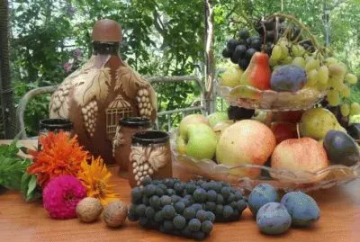 Fruits and Wine