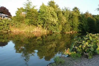 Lake