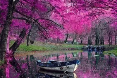 General jigsaw puzzle