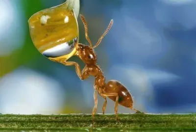 General jigsaw puzzle