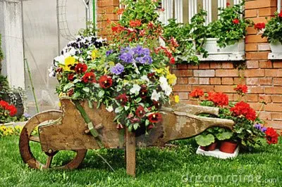 פאזל של Carrinho de mÃ£o