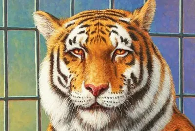 tigre jigsaw puzzle