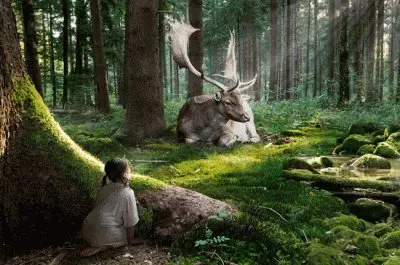 פאזל של Fairytale Forest