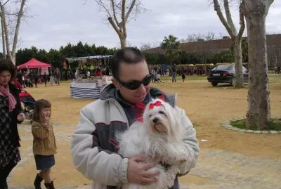 Con perrito