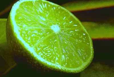 citron vert