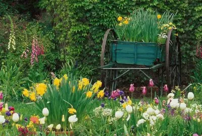 Springtime in the Garden