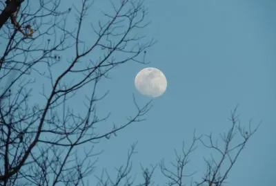 Moon in Daytime