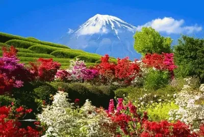 natureza